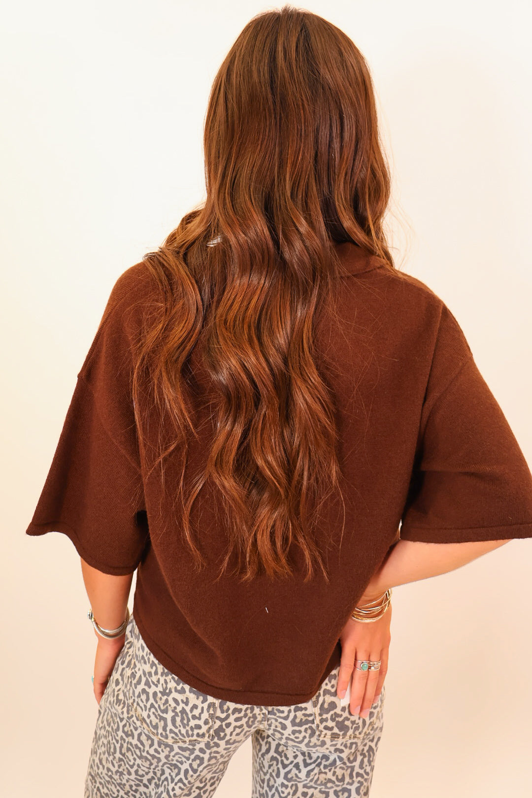 Brown Collared Short Sleeve Sweater